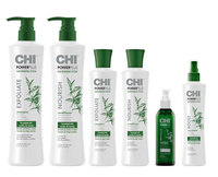 Renewing haircare maintenance system that is specifically formulated to care for the foundation of healthy hair and scalp.